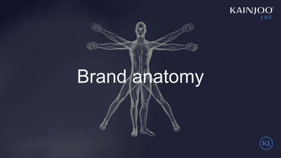 Kainjoo Brand Anatomy
