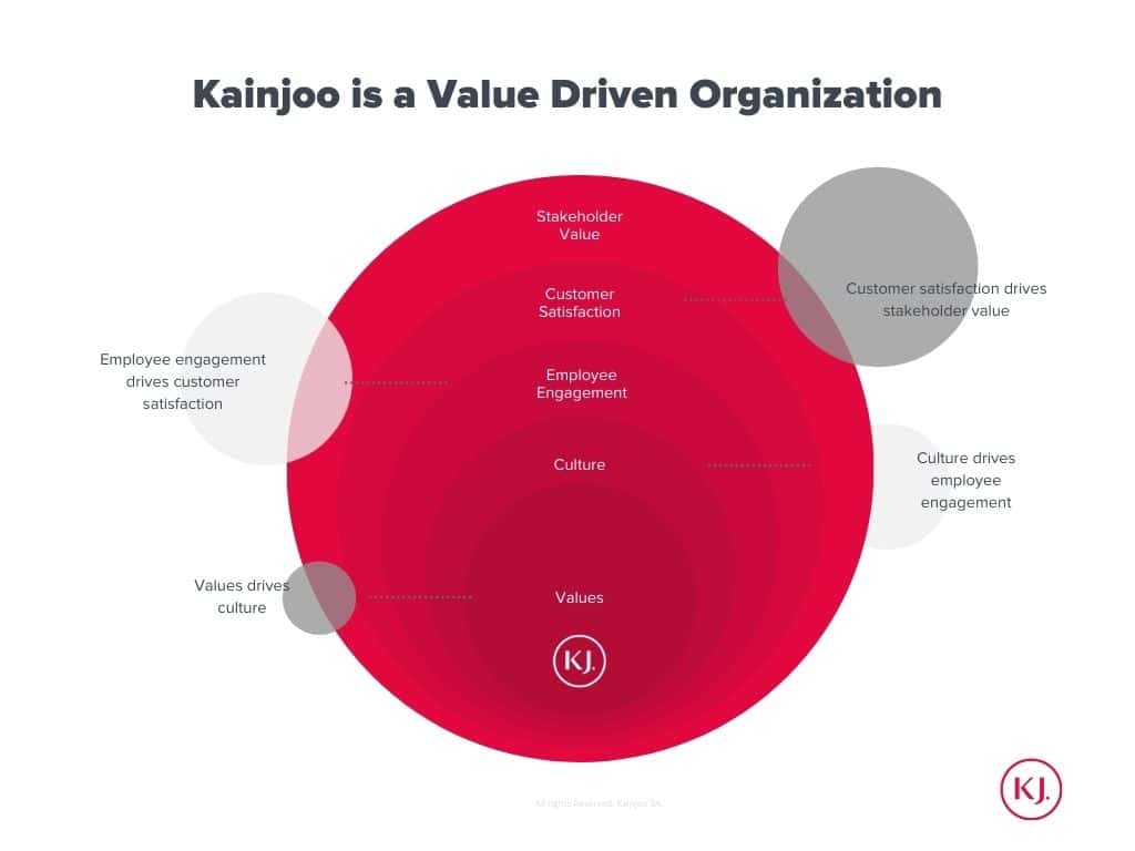 Kainjoo Values Driven Organization Venn Diagram